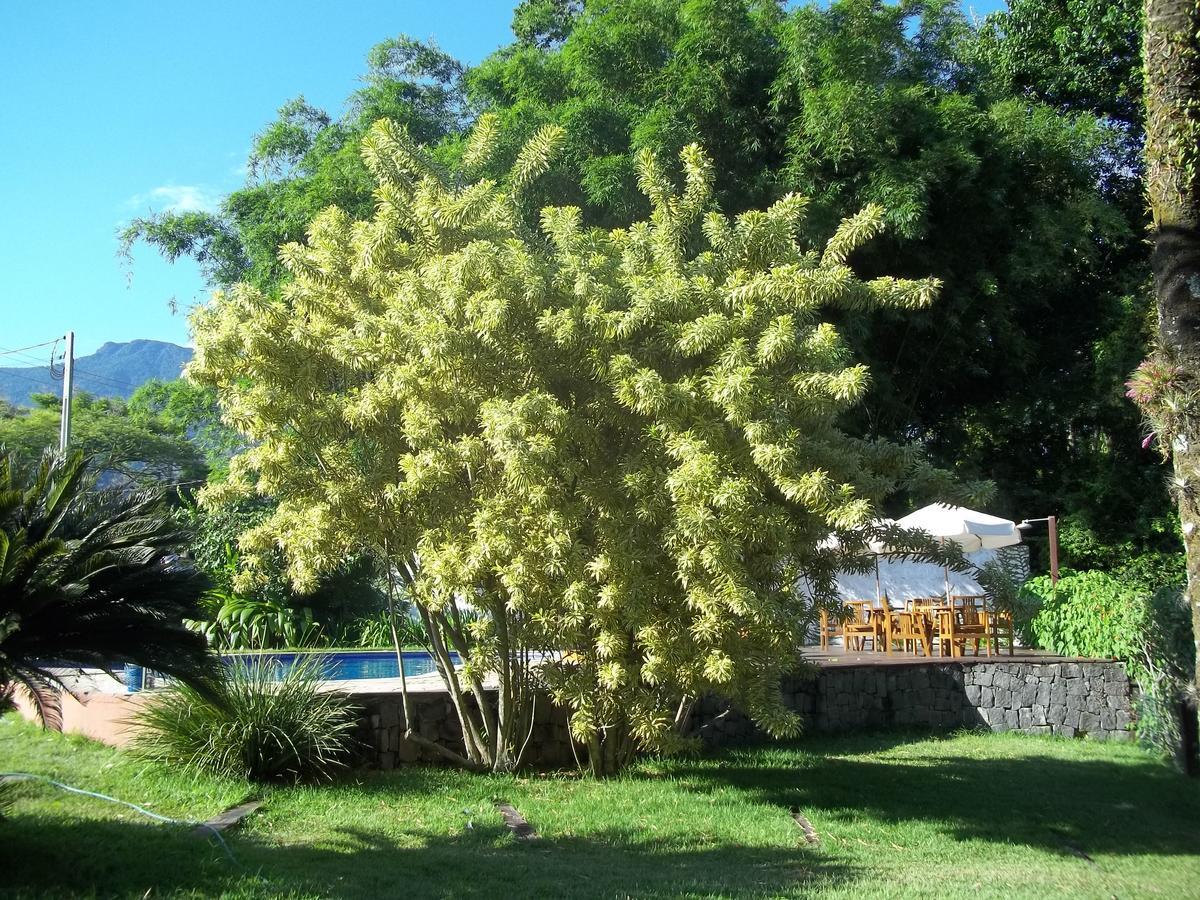 Maritacas Pensão 3*